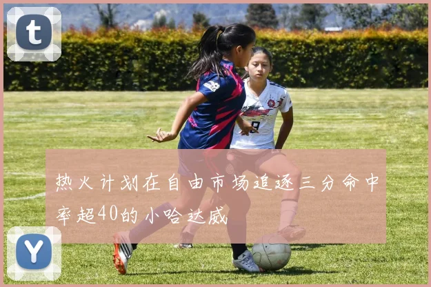 热火计划在自由市场追逐三分命中率超40的小哈达威