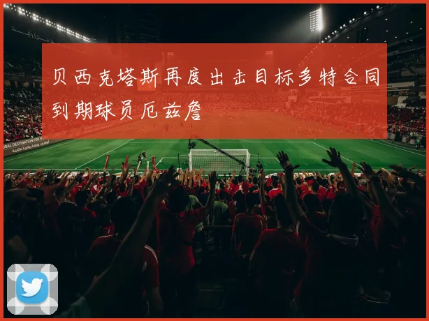 贝西克塔斯再度出击目标多特合同到期球员厄兹詹